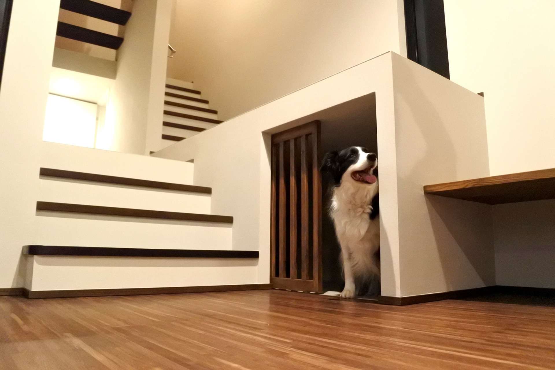 最新のフロアコーティング施工事例をご紹介！